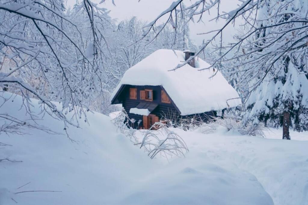 Cottage In The Woods - Lake Bohinj Exterior photo